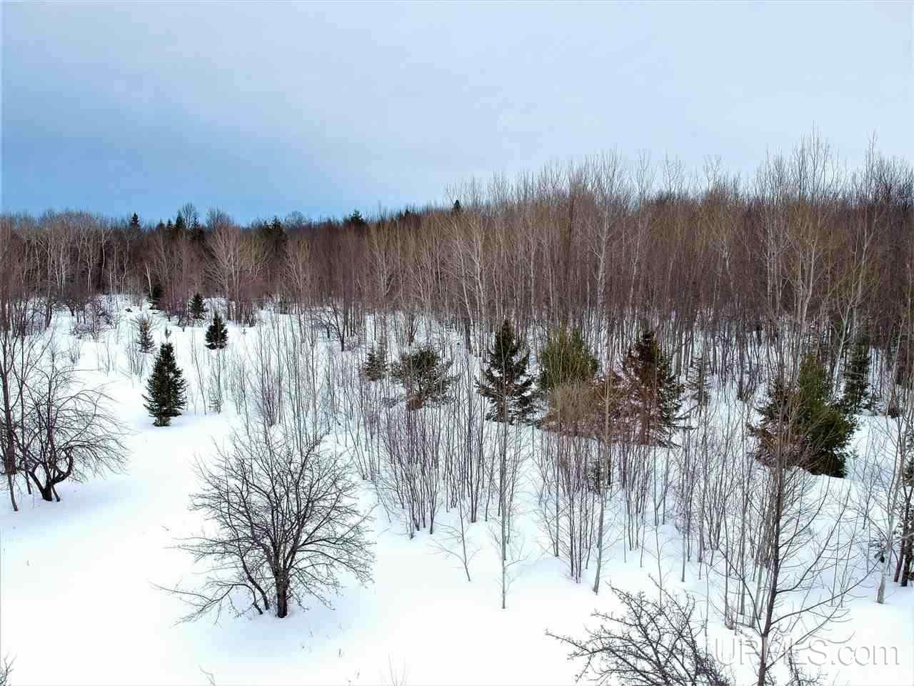 3620 Misery Bay Road Toivola, MI 49965 - Photo 10 of 22 Gallery Image 10