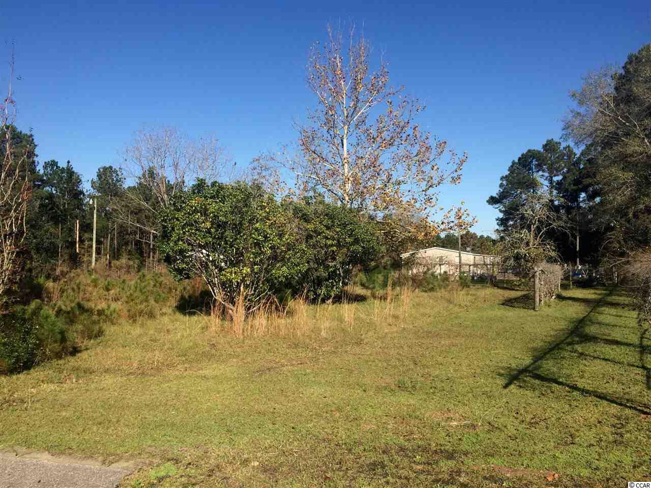 1372 Blue Bird Road Loris, SC 29569 - Photo 1 of 10 Gallery Image 1