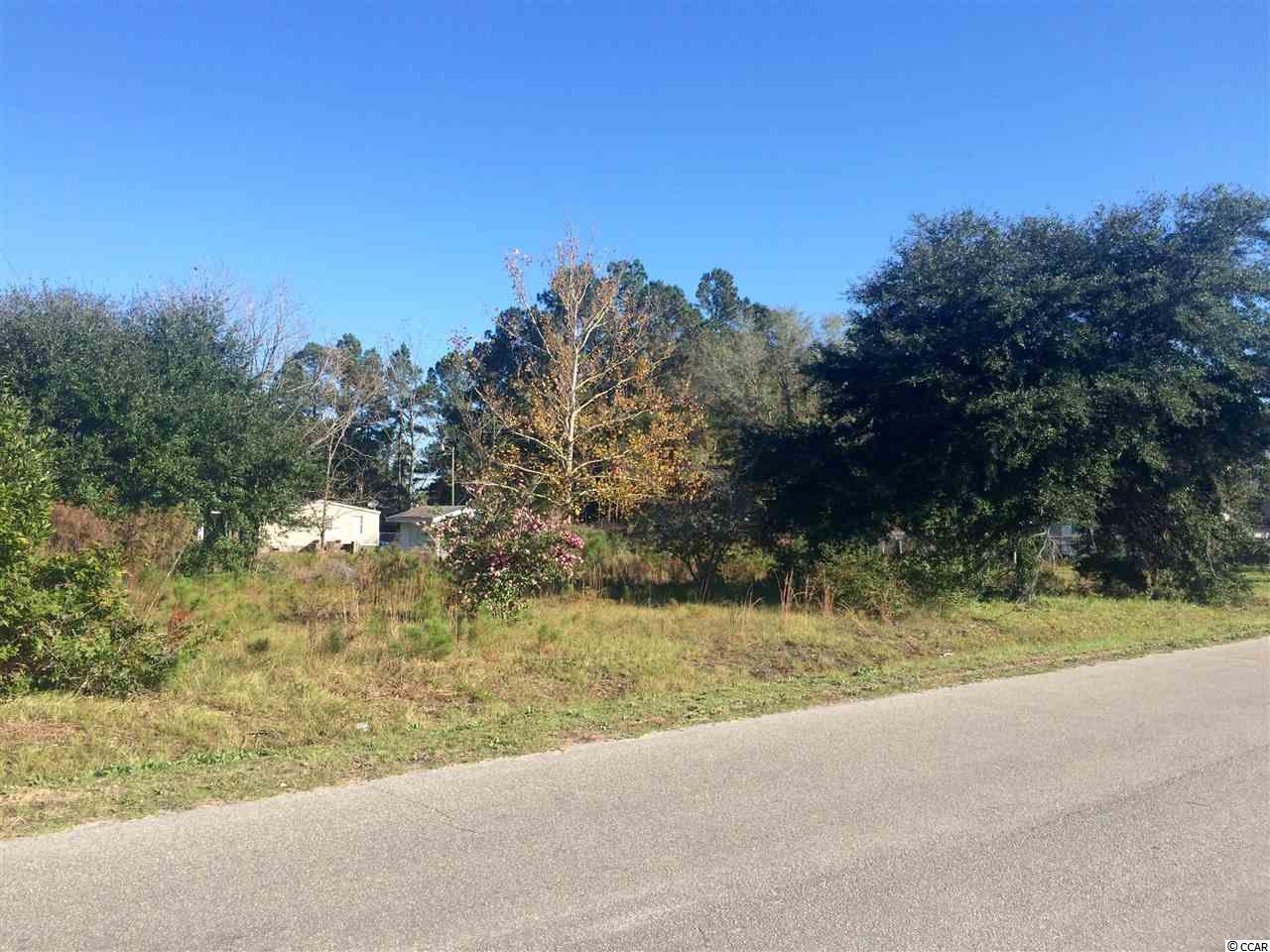 1372 Blue Bird Road Loris, SC 29569 - Photo 2 of 10 Gallery Image 2