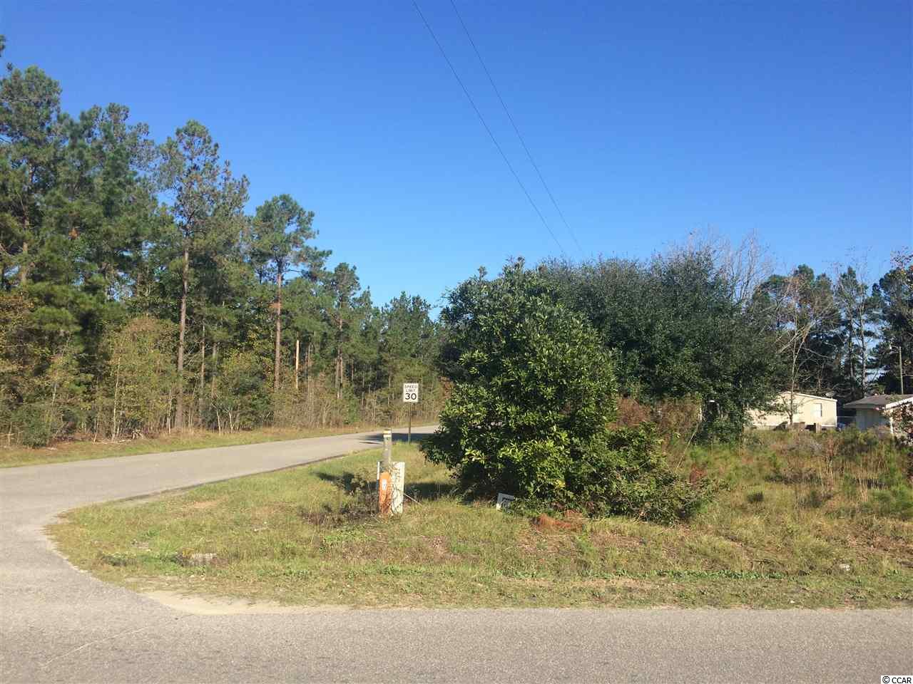 1372 Blue Bird Road Loris, SC 29569 - Photo 3 of 10 Gallery Image 3
