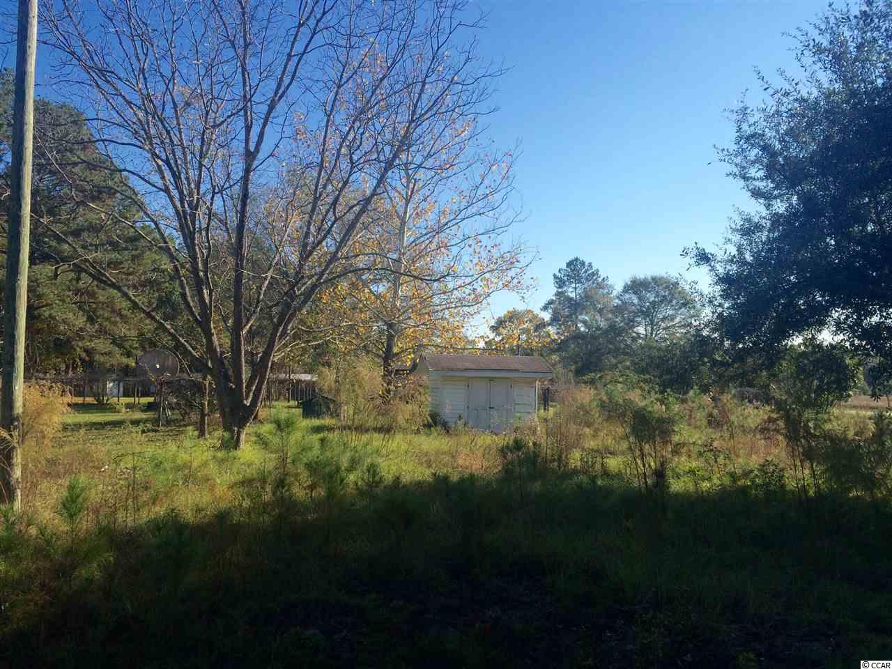 1372 Blue Bird Road Loris, SC 29569 - Photo 8 of 10 Gallery Image 8