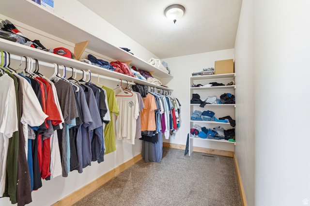306 Spring Road Preston, ID 83263 - Photo 21 of 55 Spacious closet featuring wall-mounted shelving, hanging rods, an integrated ceiling light fixture, and carpet flooring