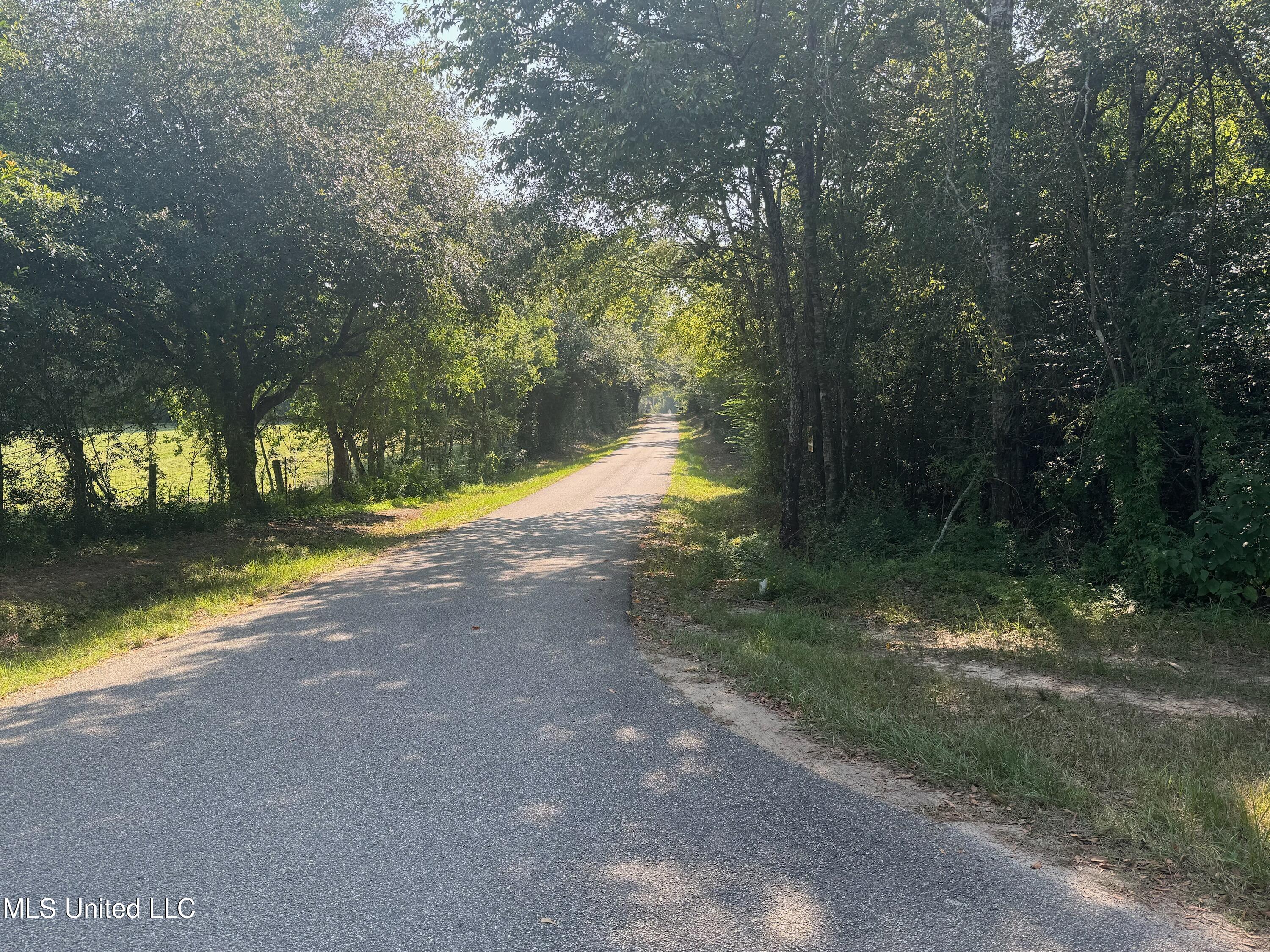 6095 Cortez Court Kiln, MS 39556 - Photo 6 of 7 IMG_5266