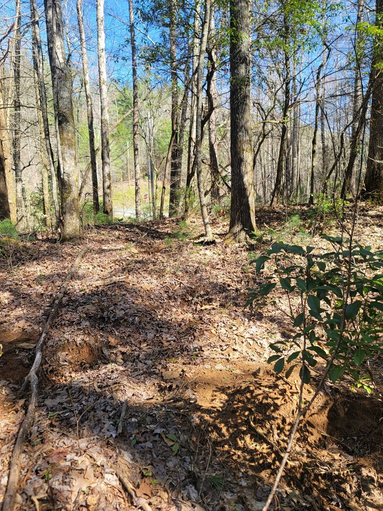 1 Prospect Road Murphy, NC 28906 - Photo 7 of 12