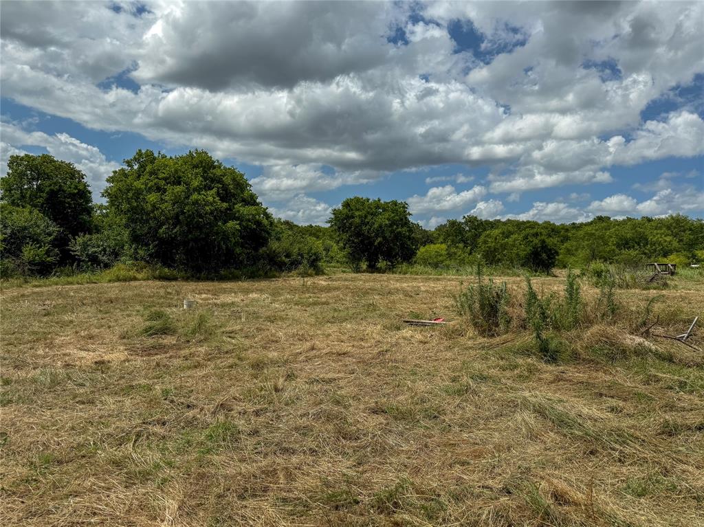 1700 Don Lee Road Joshua, TX 76058 - Photo 3 of 33