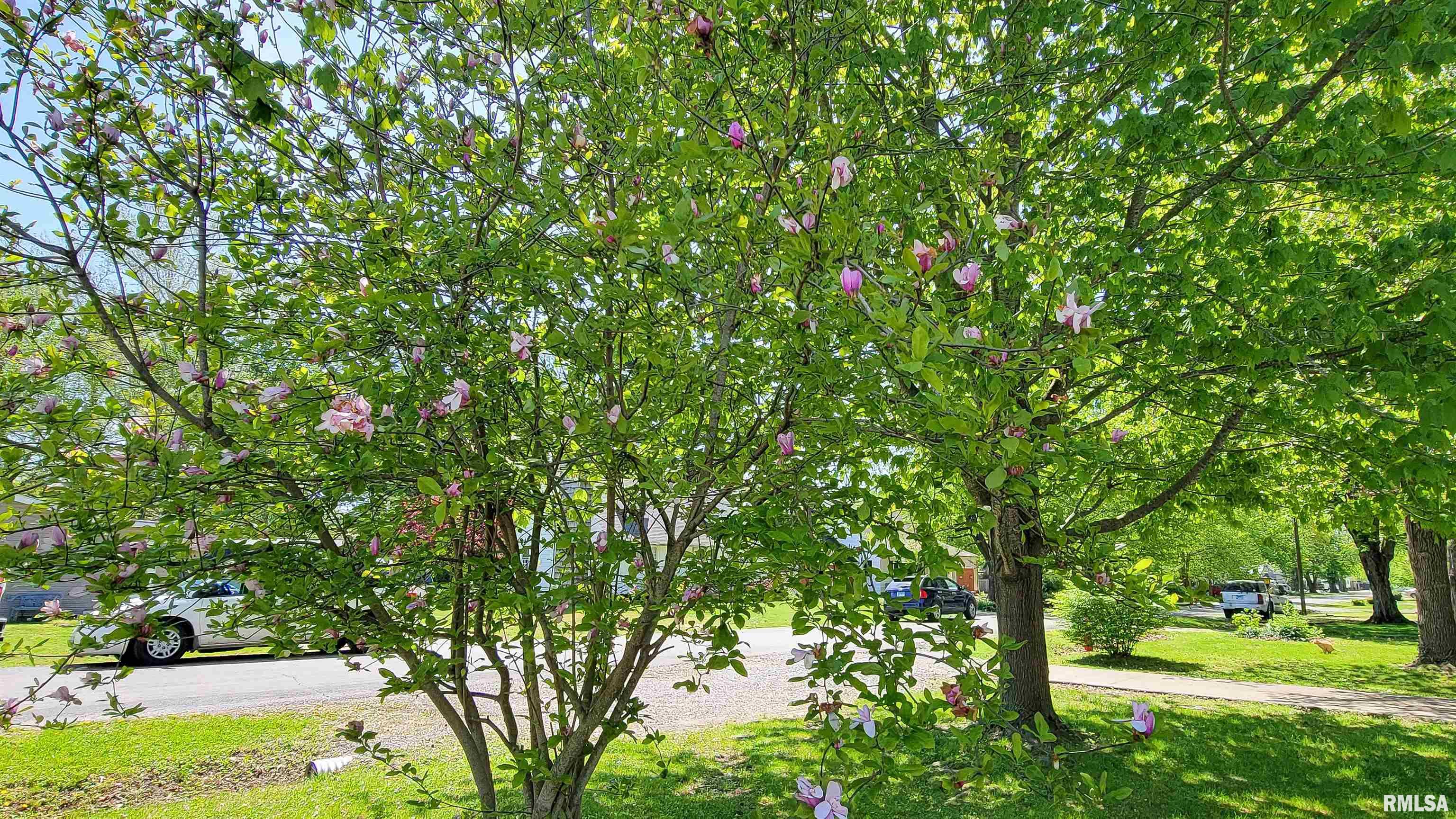1007 Rider Street Flora, IL 62839 - Photo 58 of 73 Gallery Image 58