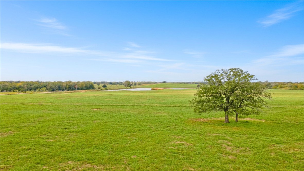 0 Armstrong Derry Road Waelder, TX 78959 - Photo 4 of 13