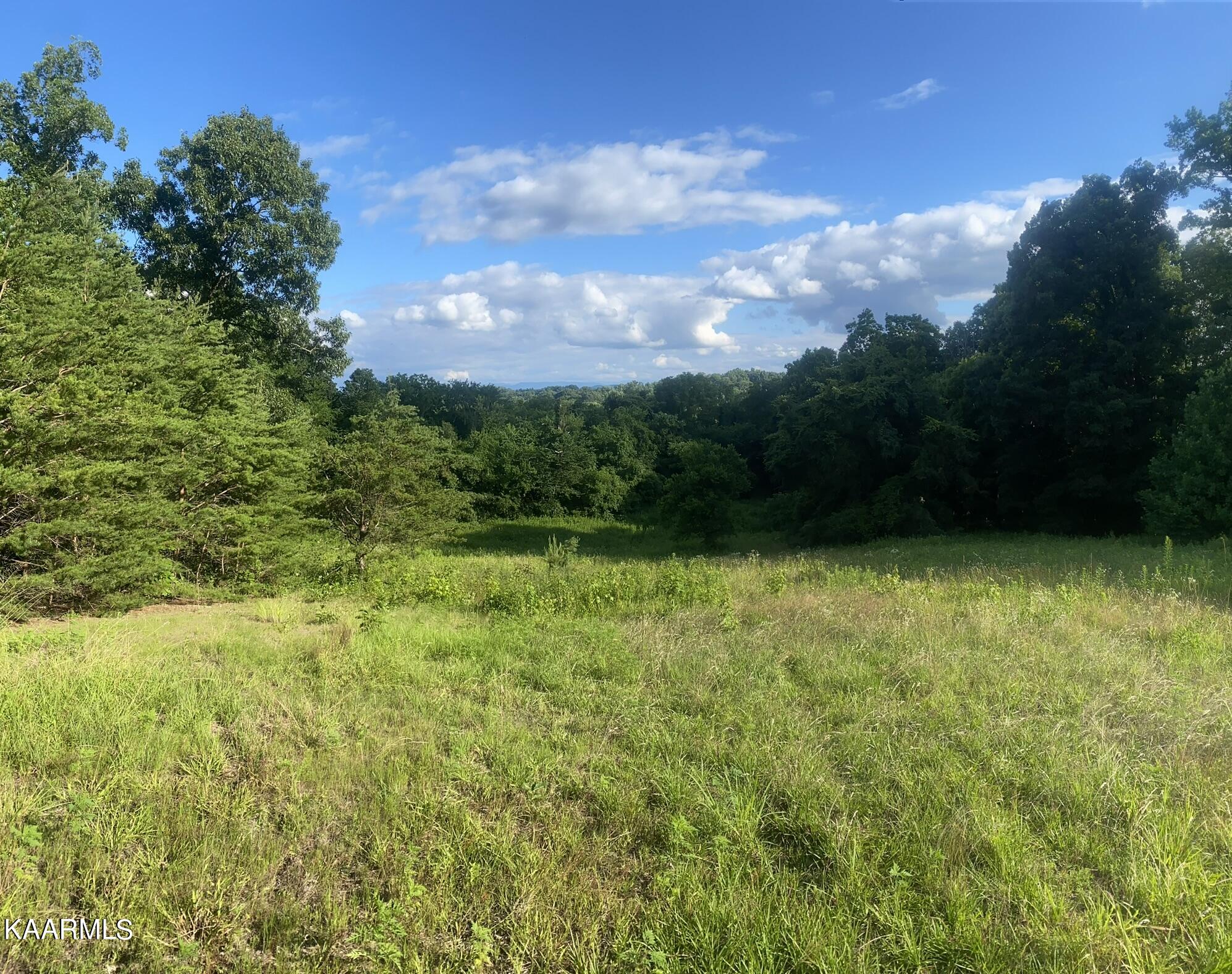 3528 Fulton Road Corryton, TN 37721 - Photo 12 of 18 E3CFF3C6-856F-48DC-BA60-112867BDC05B