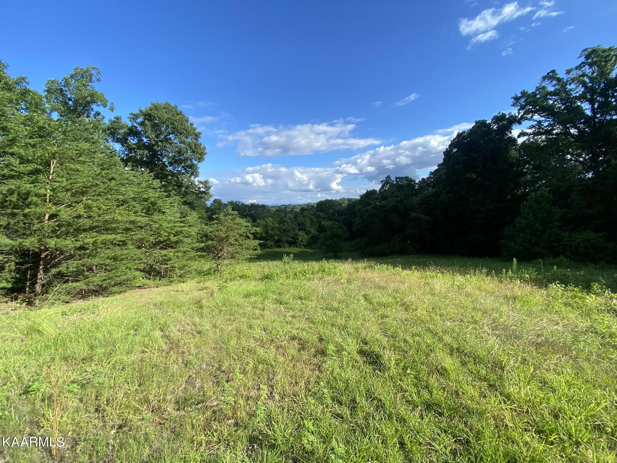 3528 Fulton Road Corryton, TN 37721 - Photo 13 of 18 C3CF9B24-D202-41B8-A767-A158BE0AE30A