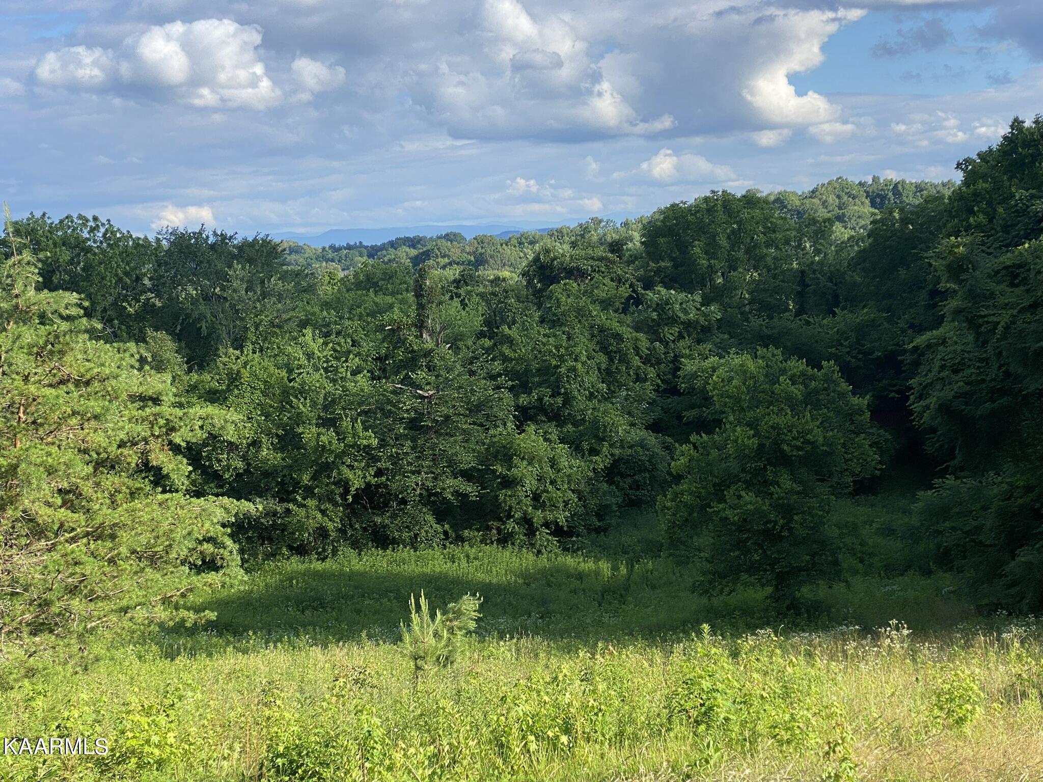 3528 Fulton Road Corryton, TN 37721 - Photo 14 of 18 6C463CF0-06FF-409E-9AB3-56853975CB3F