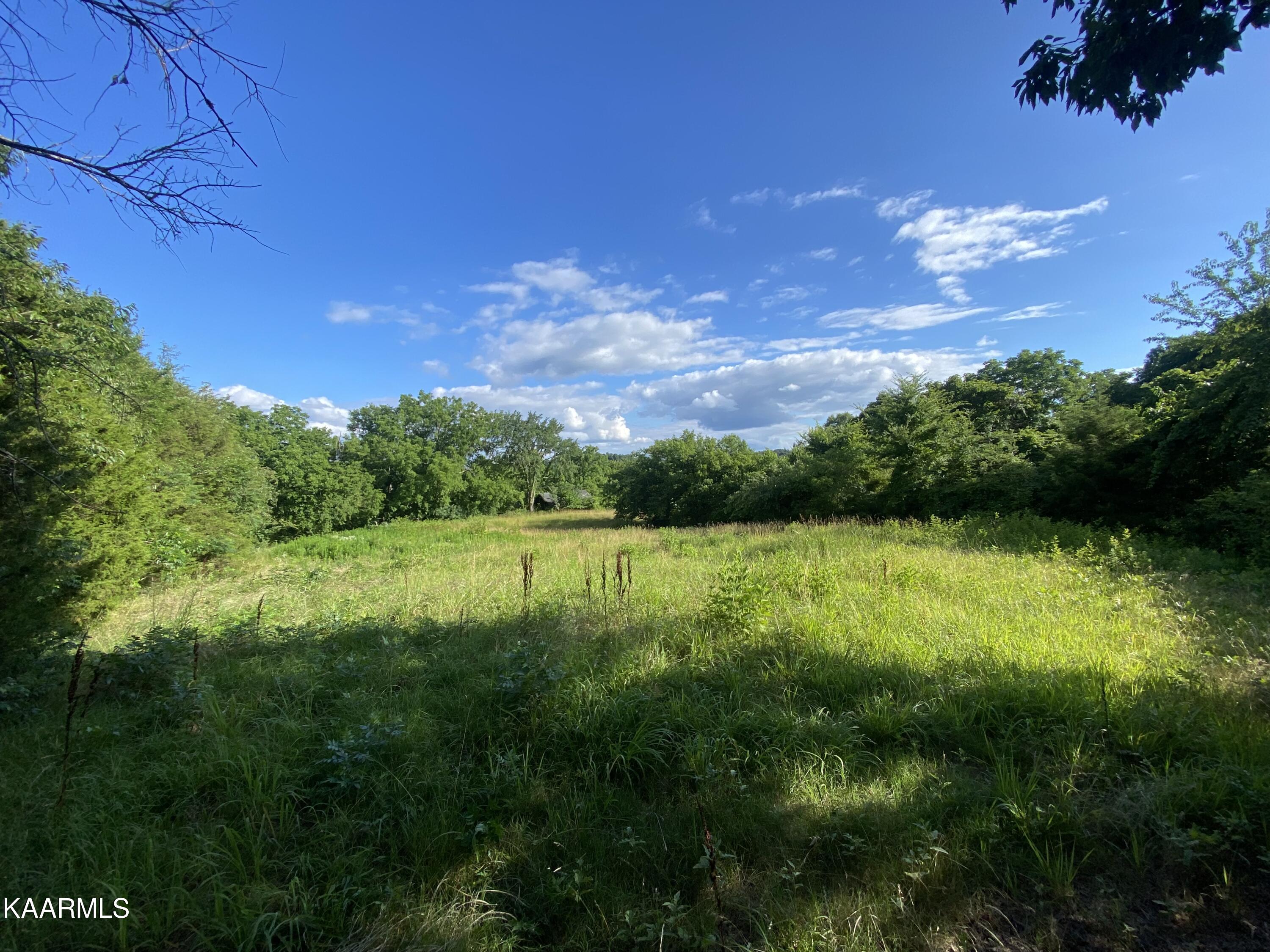 3528 Fulton Road Corryton, TN 37721 - Photo 16 of 18 BCDDBBE4-F35F-4F1D-A681-208A2D75B97B