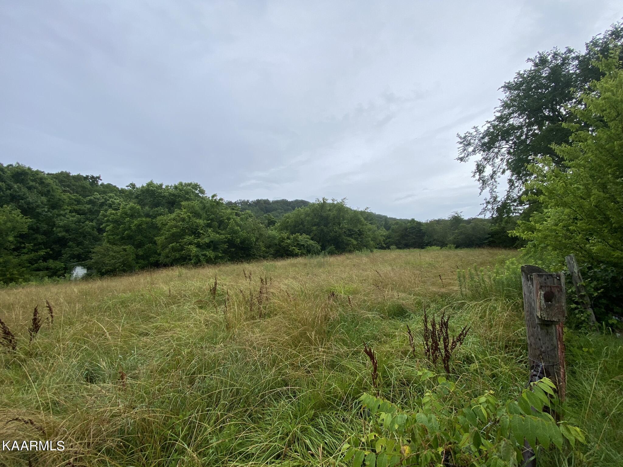 3528 Fulton Road Corryton, TN 37721 - Photo 5 of 18 0A299C20-CB37-4EB4-8347-BBAFB525140F