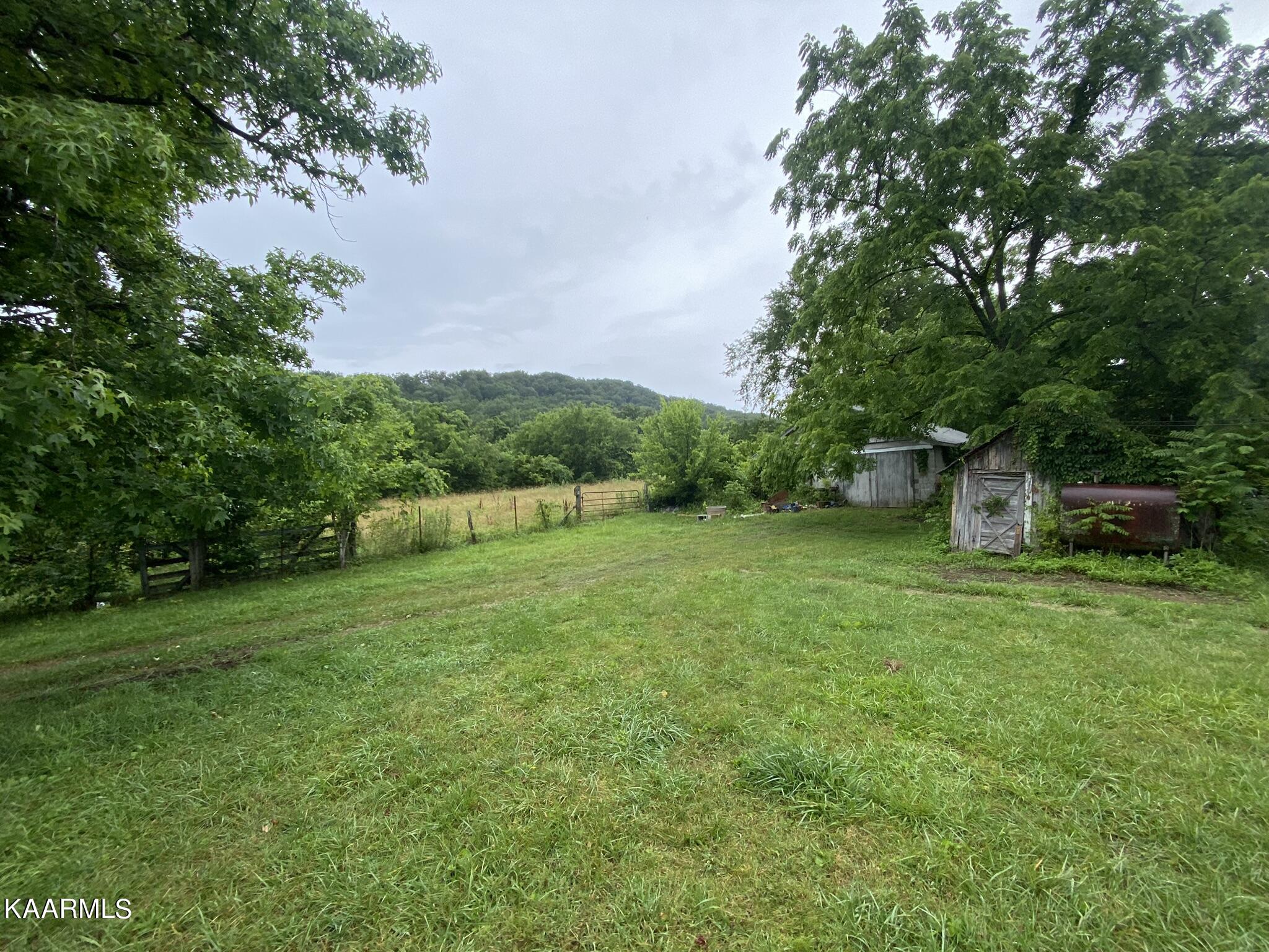 3528 Fulton Road Corryton, TN 37721 - Photo 6 of 18 DC1E0E1F-E6FB-42FB-8FA0-7A5A8C08957F