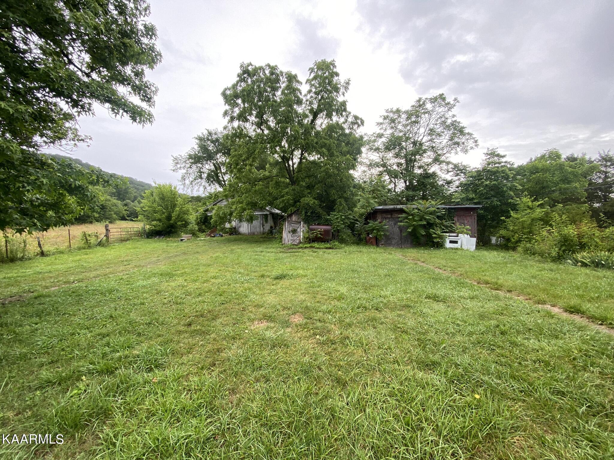3528 Fulton Road Corryton, TN 37721 - Photo 7 of 18 E88F5947-8020-4047-9383-1821398F0594