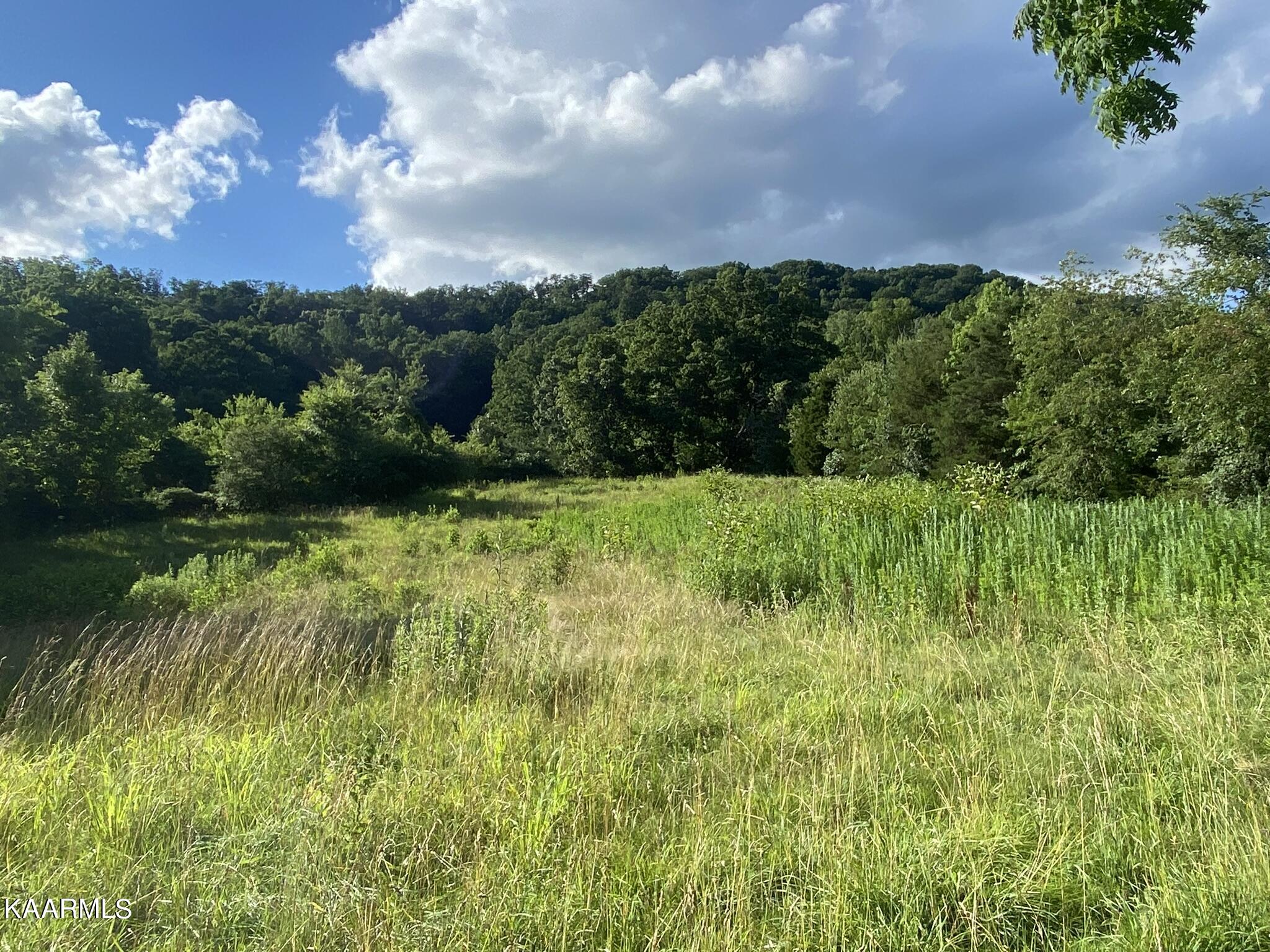 3528 Fulton Road Corryton, TN 37721 - Photo 9 of 18 B7C73FCF-DE72-460B-AA83-954DEEBEB2A1