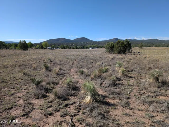 a view of a dry field with trees in background