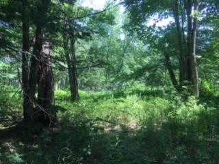 1194 Norway Road Waterford, ME 04088 - Photo 34 of 35 1194 B