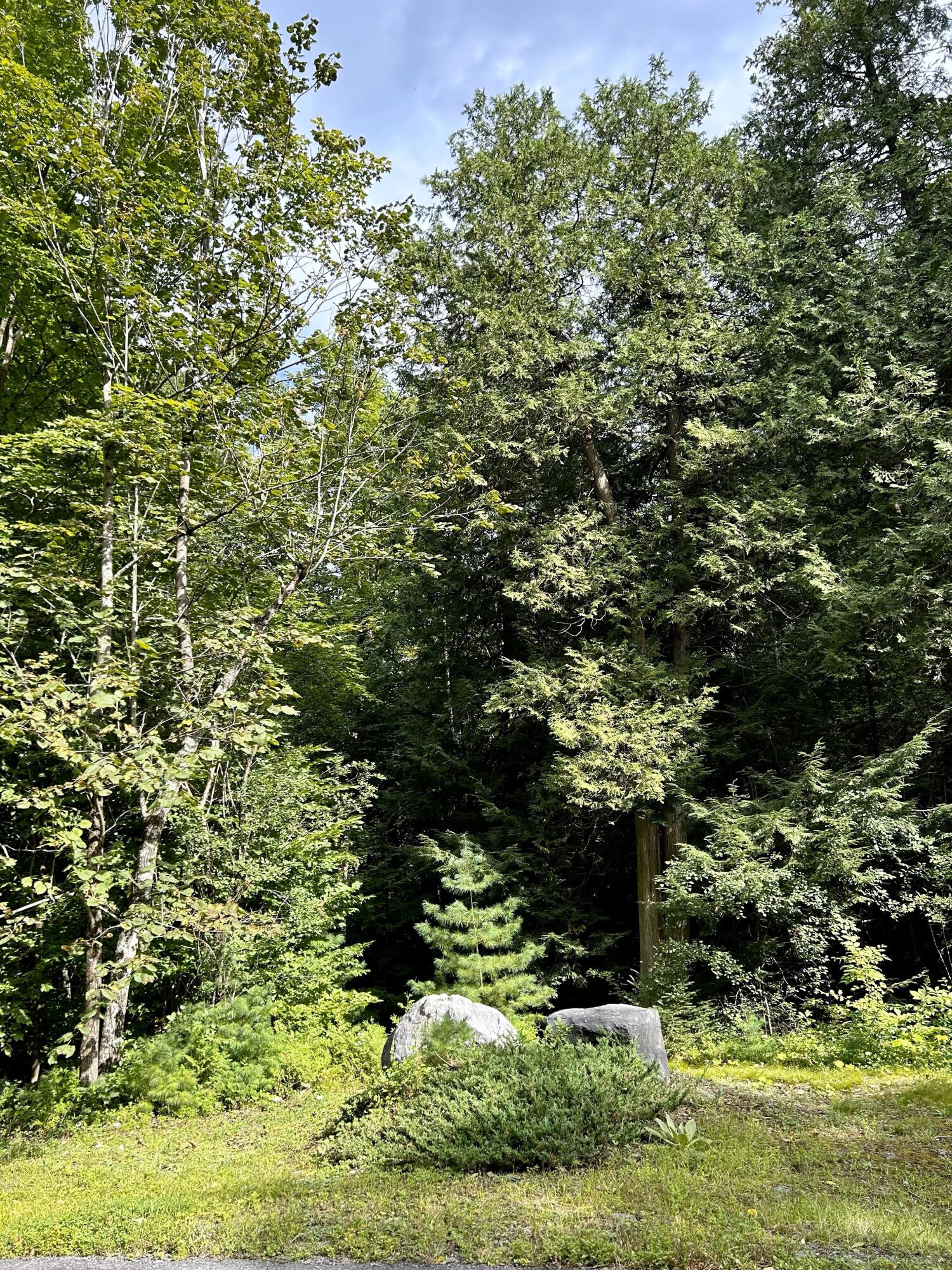0 Bluff Point Drive Plattsburgh, NY 12901 - Photo 17 of 21 19