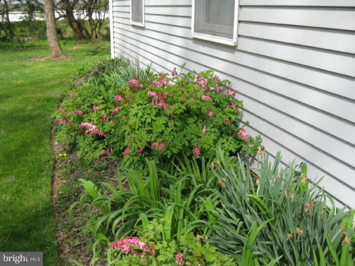 386 Auburn Road Avondale, PA 19311 - Photo 22 of 24 Gallery Image 22