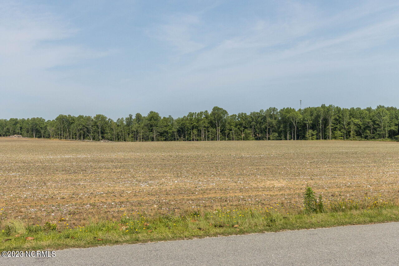 6741 Peele Road Bailey, NC 27807 - Photo 31 of 31 032-1280x960-view-across-street