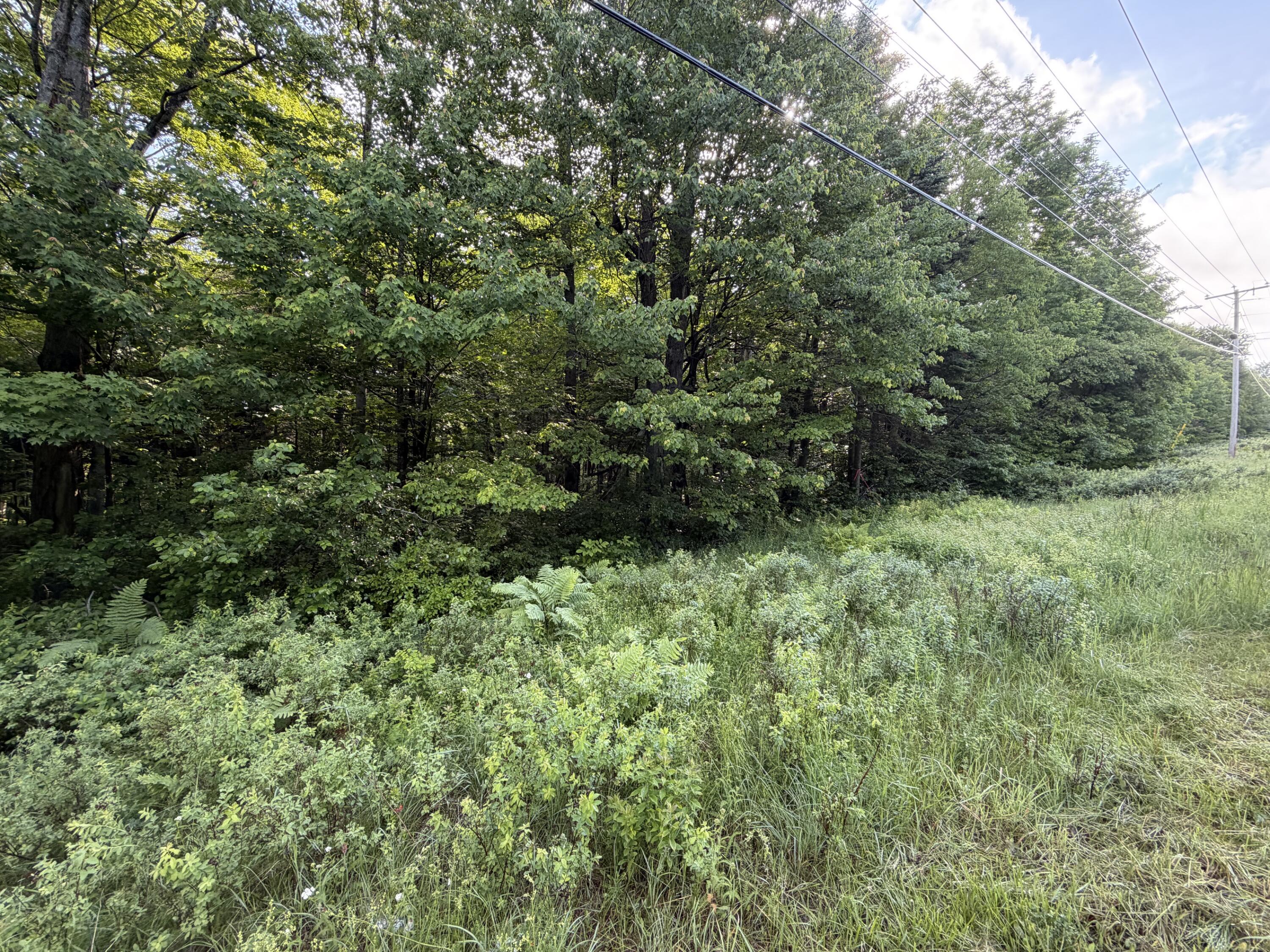 47 Greenville Road, Unit LOT 2 Shirley, ME 04485 - Photo 4 of 5