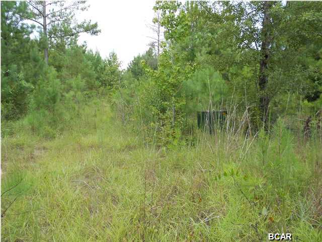 14 Lots Pleasant Ridge Road DeFuniak Springs, FL 32435 - Photo 7 of 10 Gallery Image 7