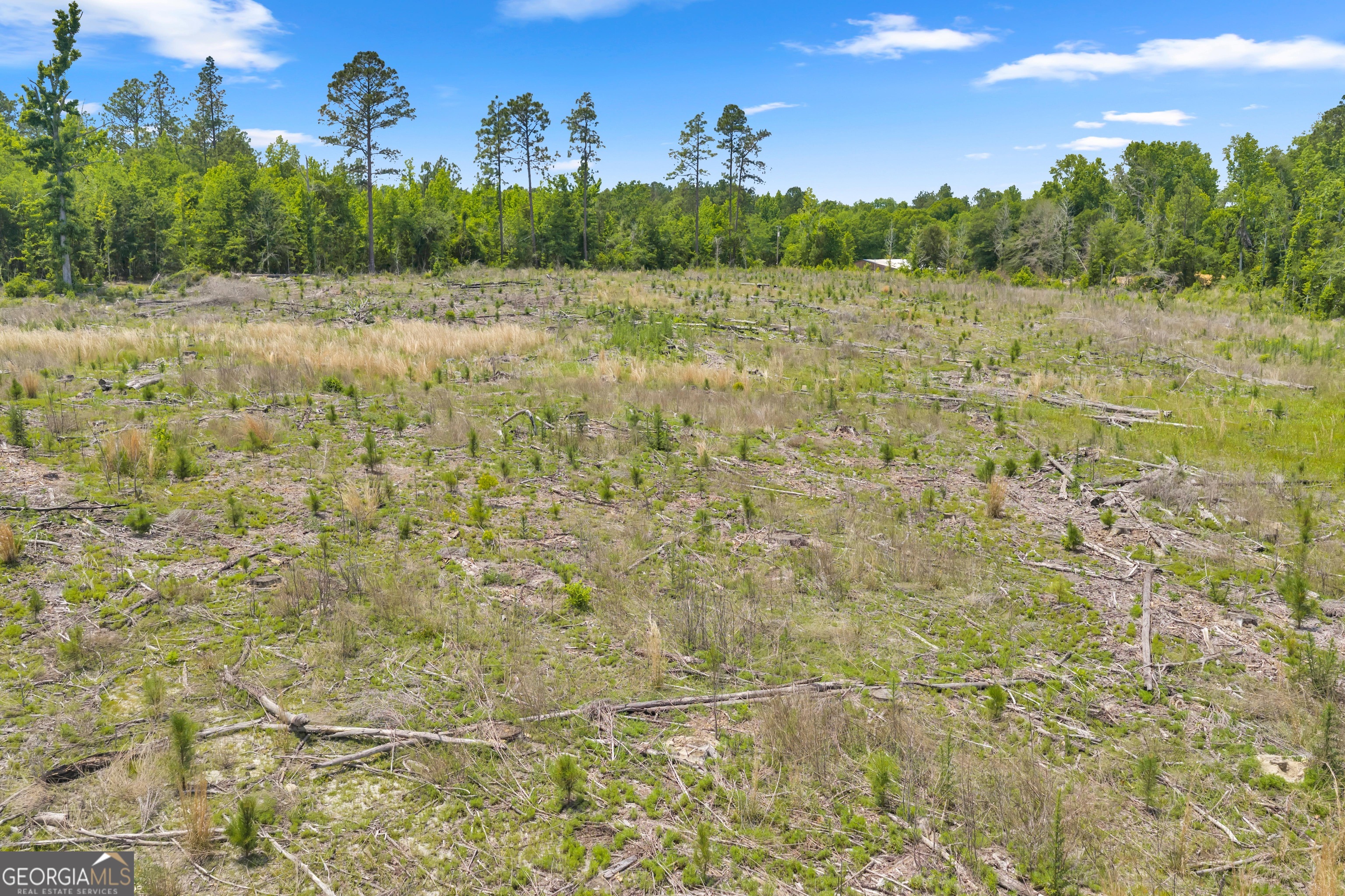 1 Trinity South Kite, GA 31049 - Photo 4 of 19