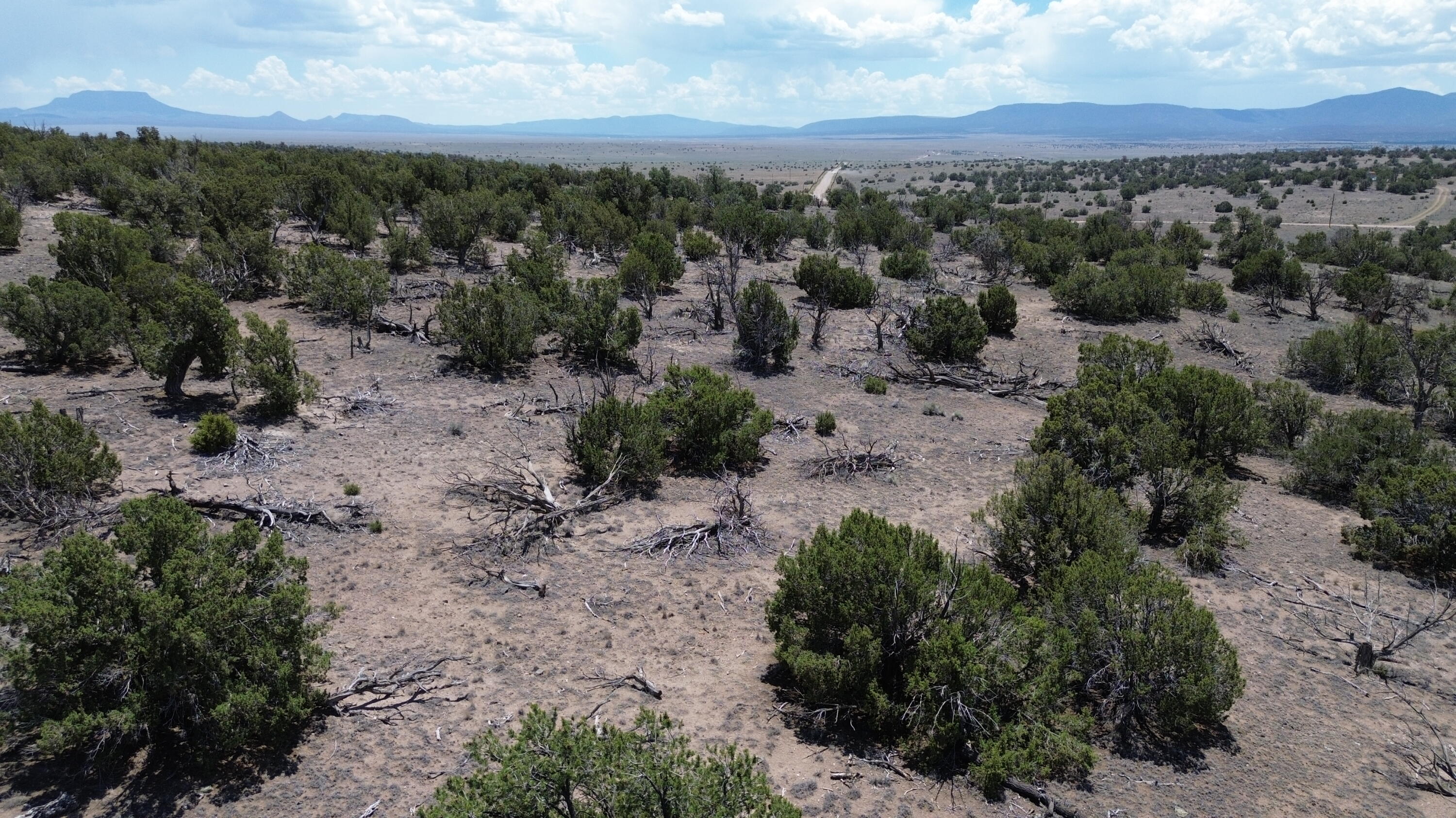 Omega Road Quemado, NM 87829 - Photo 5 of 21 Gallery Image 5