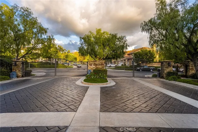 a street view with large trees