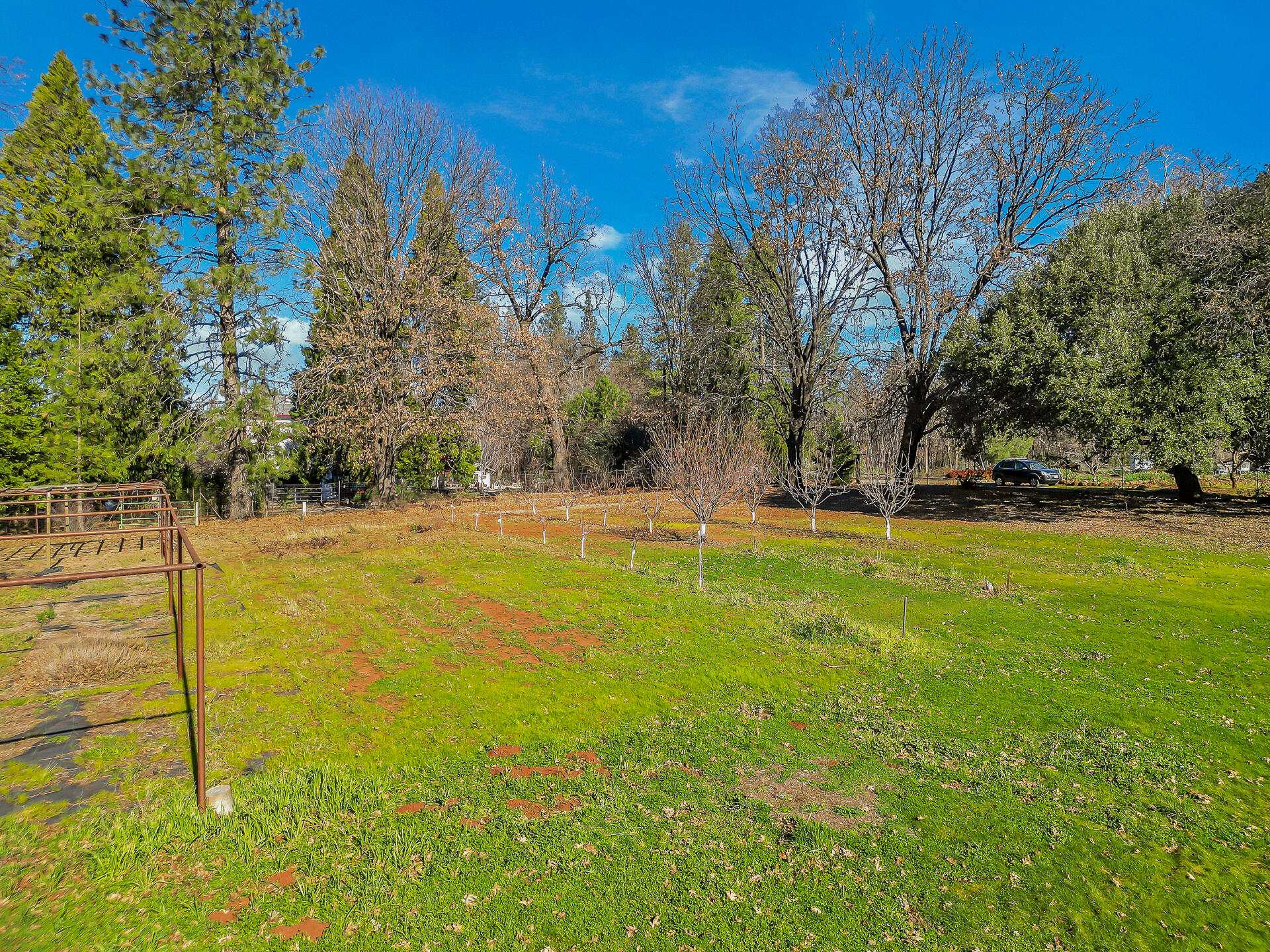 13575 English Way Oak Run, CA 96069 - Photo 50 of 56 a view of swimming pool with an outdoor space