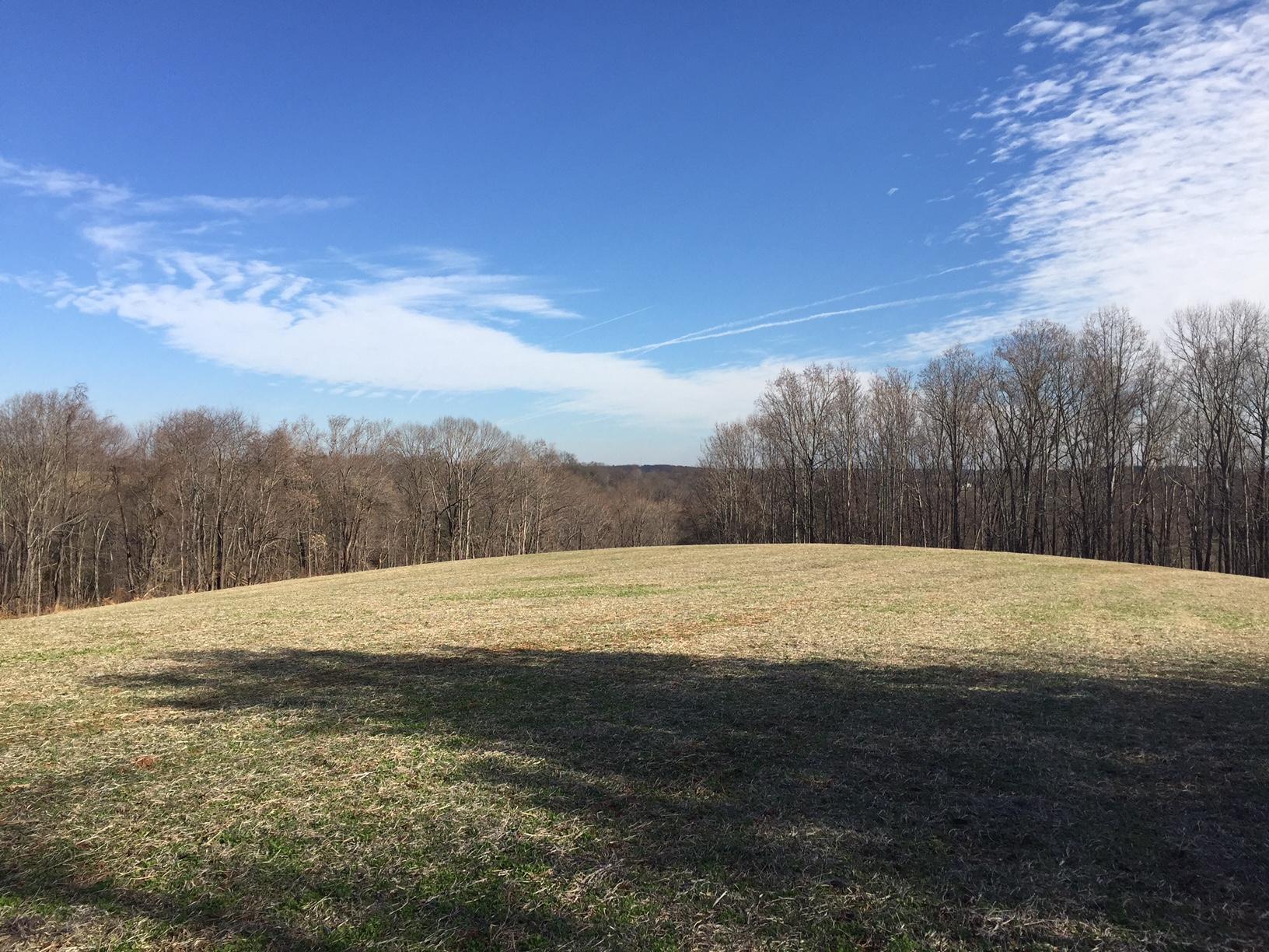 0 Bonbrook Road Wirtz, VA 24184 - Photo 5 of 10 Looking East
