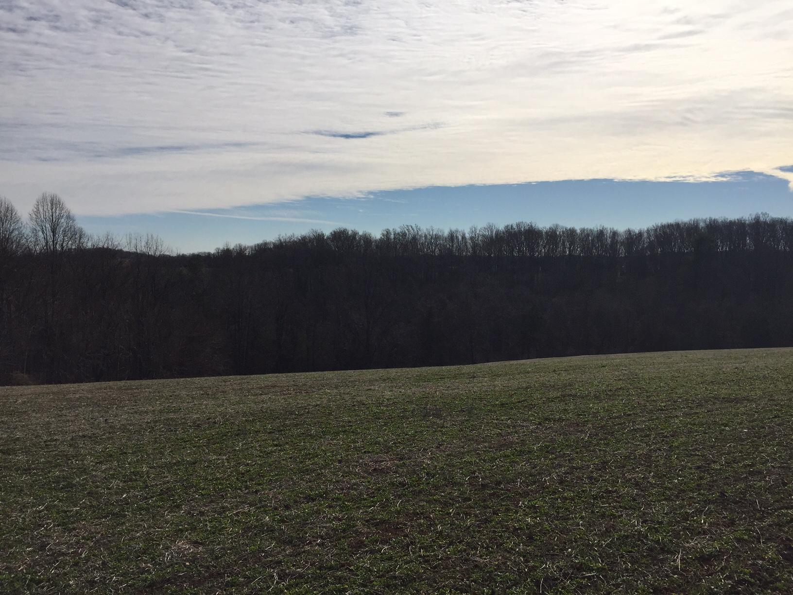 0 Bonbrook Road Wirtz, VA 24184 - Photo 6 of 10 Looking South