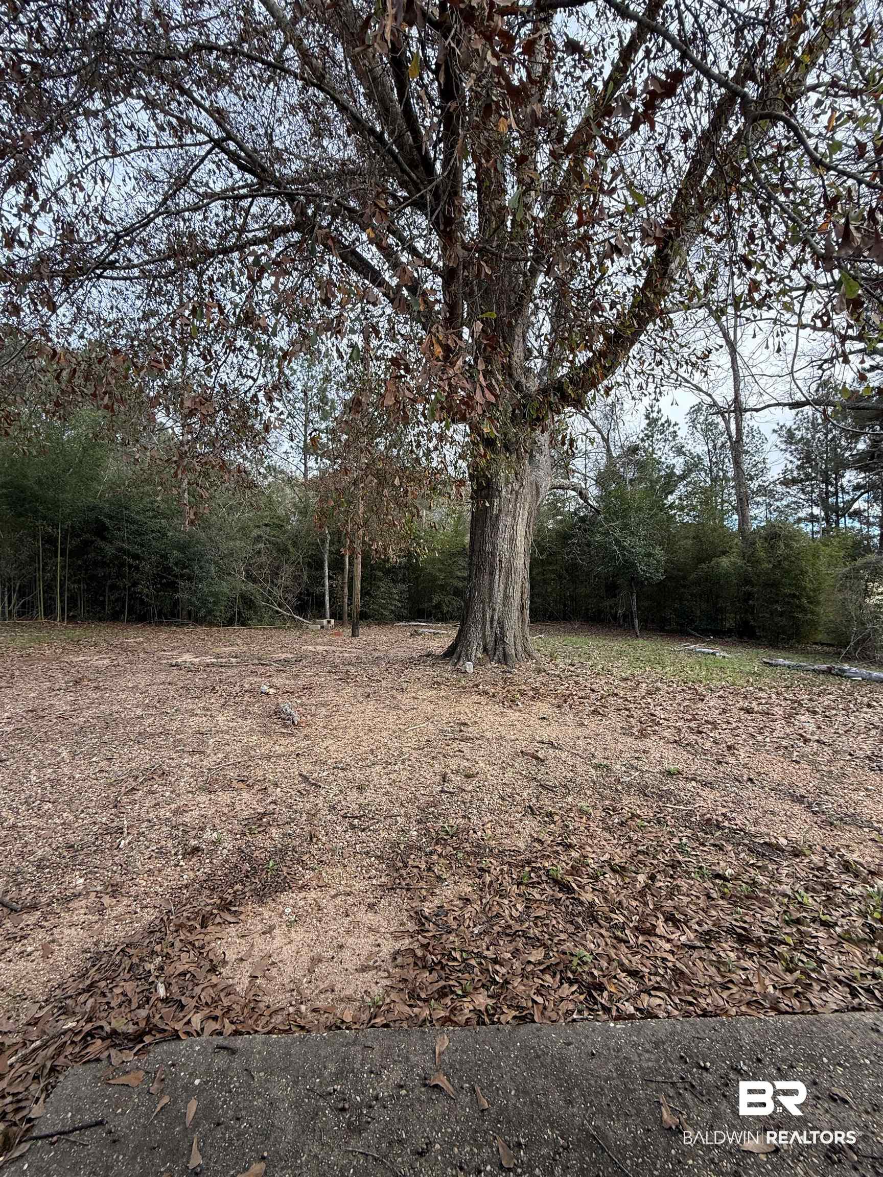205 Knoxville Road Evergreen, AL 36401 - Photo 2 of 15