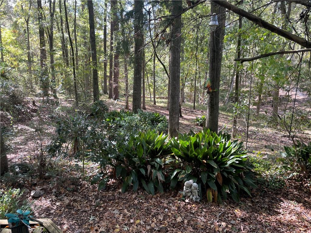 94 Firetower Road Natchez, MS 39120 - Photo 16 of 23 Gallery Image 16