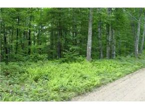 Lot 11 Copp Road Gilmanton, NH 03237 - Photo 3 of 4