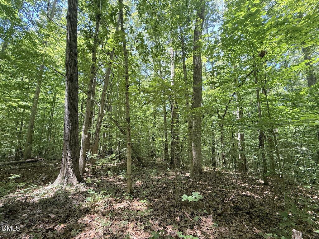 0 Buttonwood Lane Roxboro, NC 27574 - Photo 21 of 36