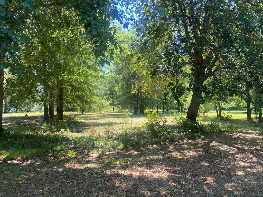 2426 Pipkin Road Sumter, SC 29154 - Photo 26 of 26