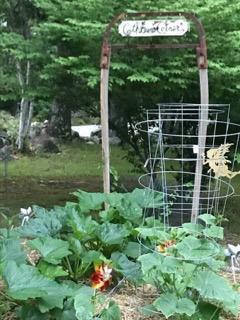 213 Townhouse Road East Waterboro, ME 04030 - Photo 120 of 127 IMG955288