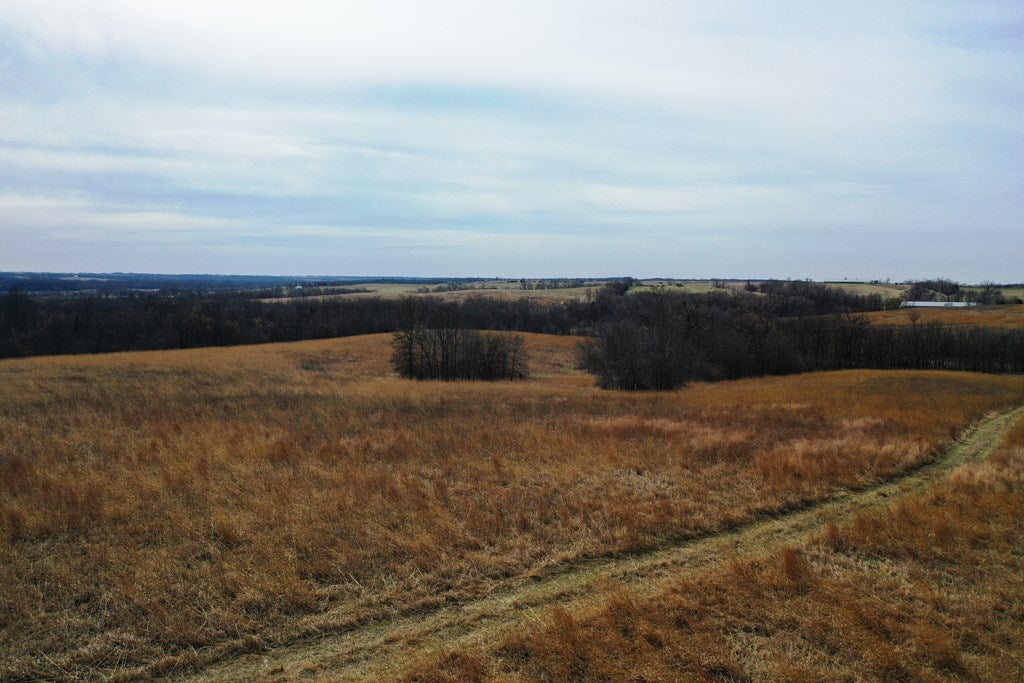 0 Arrow Road Harris, MO 64645 - Photo 8 of 12 Gallery Image 8