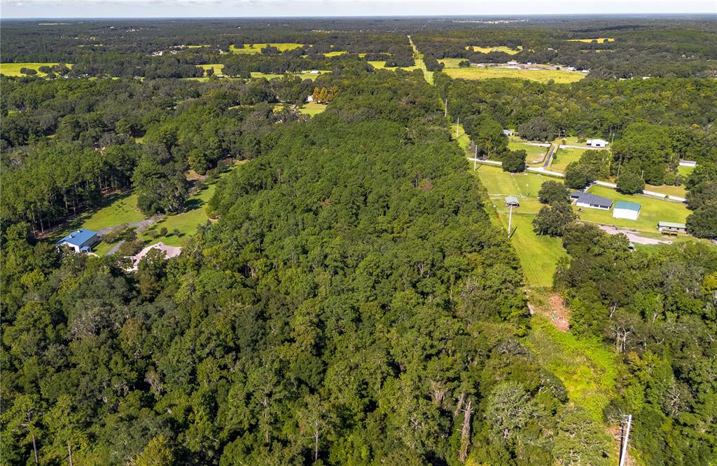 Tbd Northwest 88th Avenue Road Reddick, FL 32686 - Photo 11 of 12