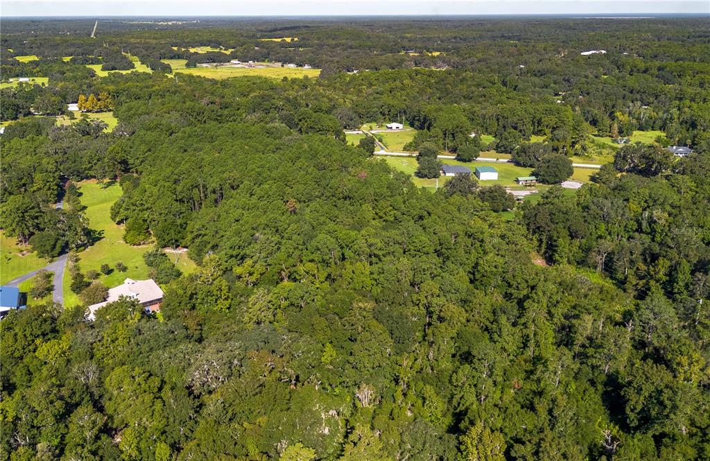Tbd Northwest 88th Avenue Road Reddick, FL 32686 - Photo 12 of 12