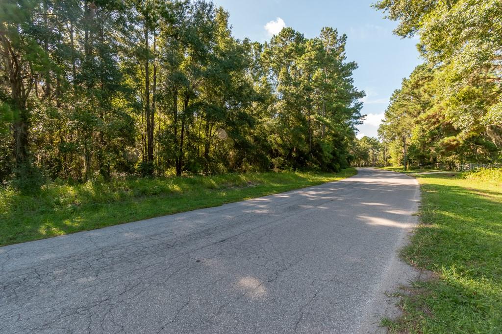 Tbd Northwest 88th Avenue Road Reddick, FL 32686 - Photo 6 of 12