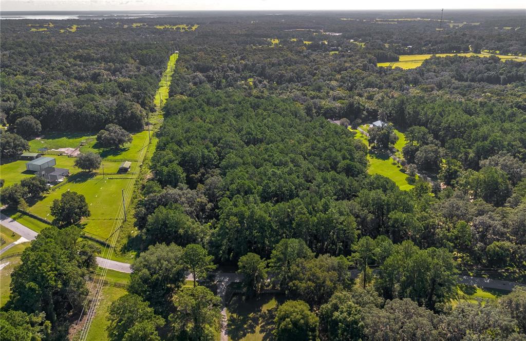 Tbd Northwest 88th Avenue Road Reddick, FL 32686 - Photo 8 of 12