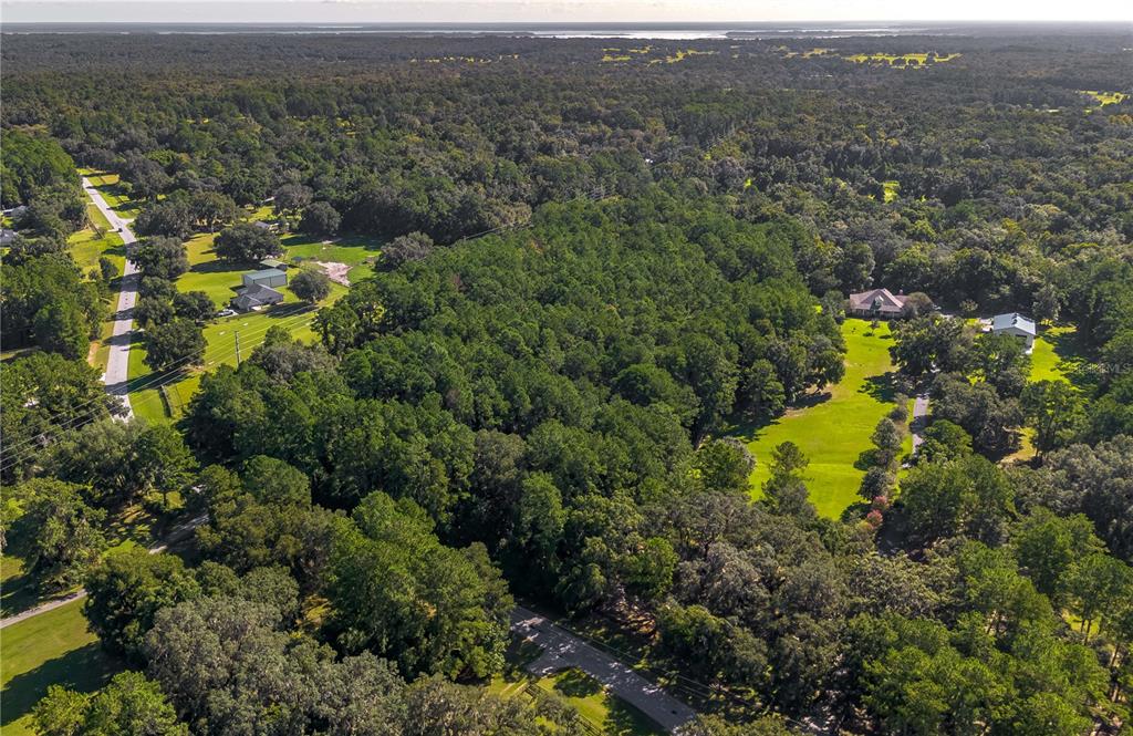 Tbd Northwest 88th Avenue Road Reddick, FL 32686 - Photo 9 of 12