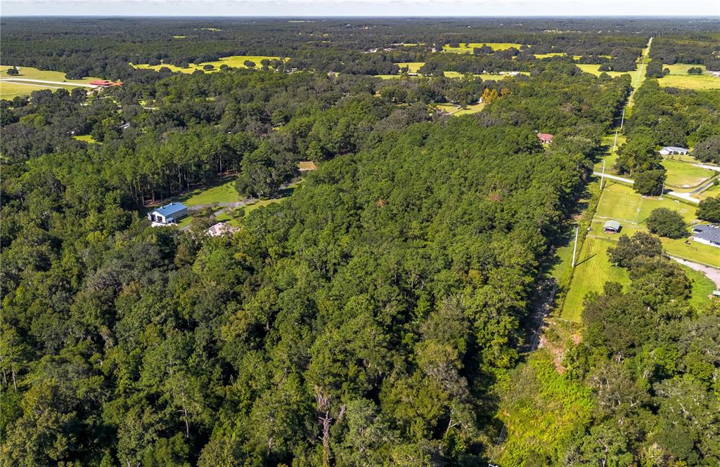 Tbd Northwest 88th Avenue Road Reddick, FL 32686 - Photo 10 of 12