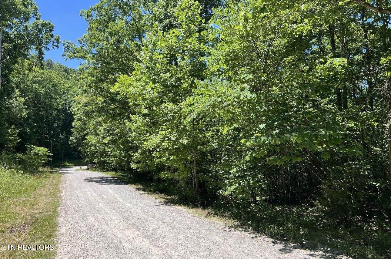 158 Eagle Ridge Road Kingston, TN 37763 - Photo 5 of 6 Image 06
