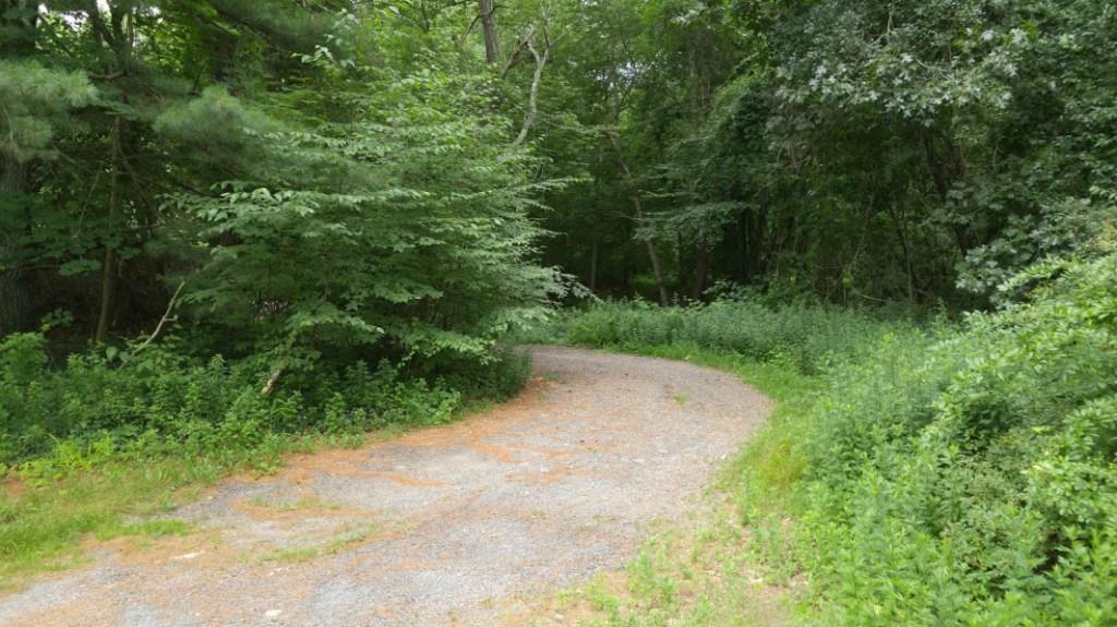 141 Whalehead Road Ledyard, CT 06335 - Photo 1 of 1