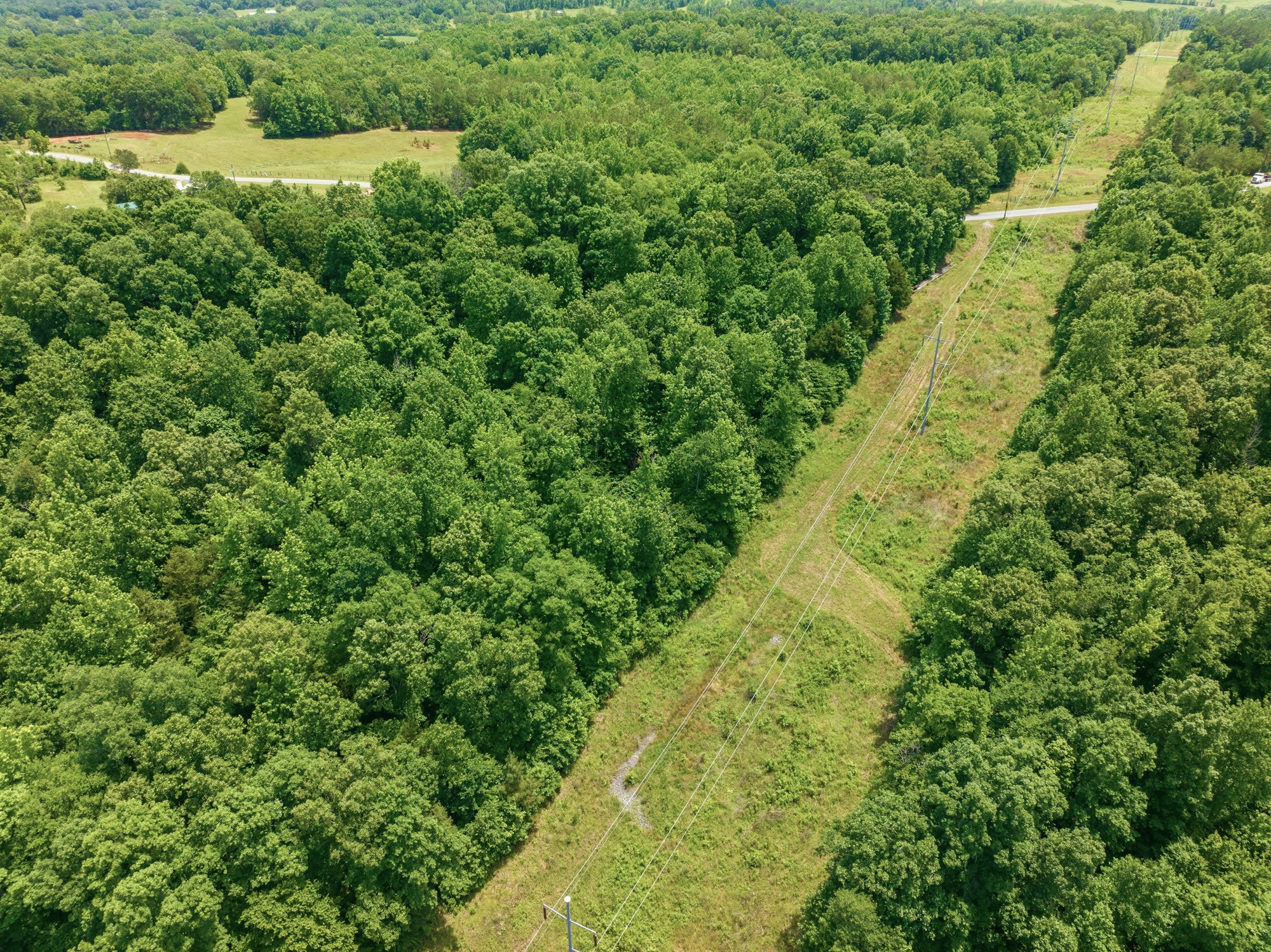 800 Smith Chapel Road Decaturville, TN 38329 - Photo 20 of 27