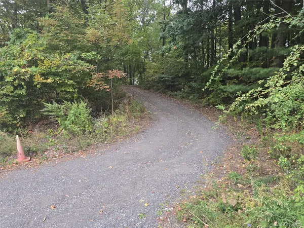 a view of a forest with a tree