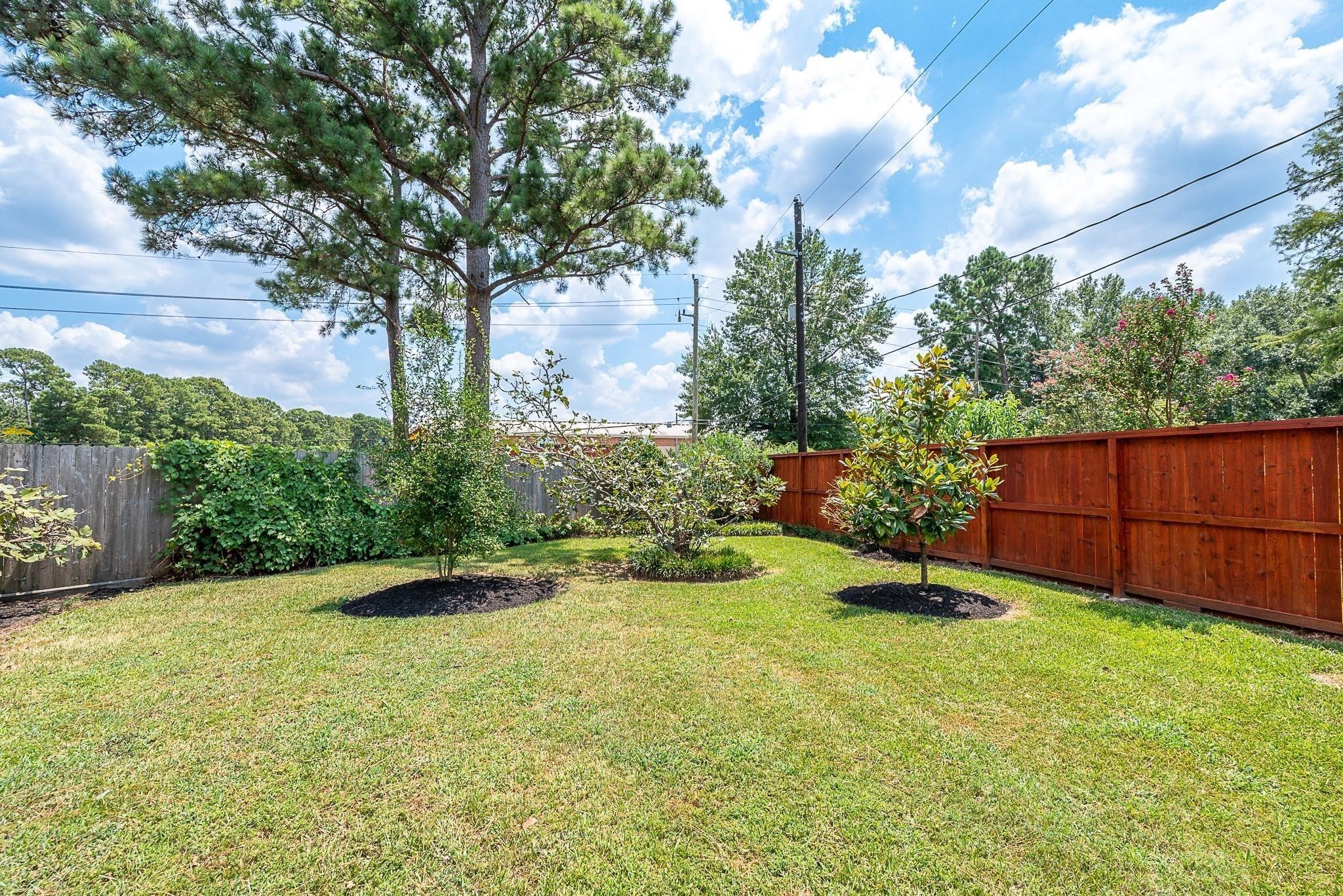 8019 Beaufort Drive Spring, TX 77379 - Photo 42 of 47 a backyard of a house with lots of green space